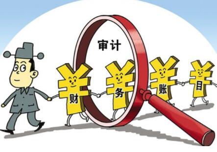 年度内部审计项目计划