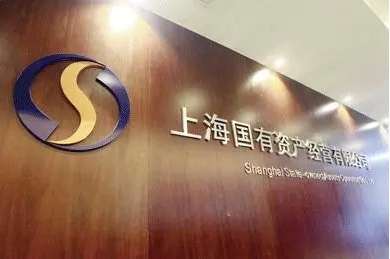 【招聘】预算管理及分析岗-30w-上海-上海国有资本投资有限公司